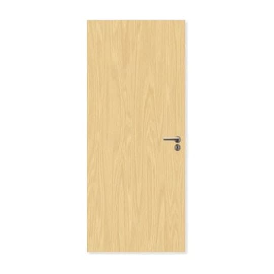 FDR External Plywood Paint Grade Flush FD30 Fire Door — alternate view